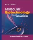 Molecular Biotechnology