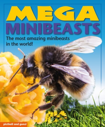 Mega Minibeasts