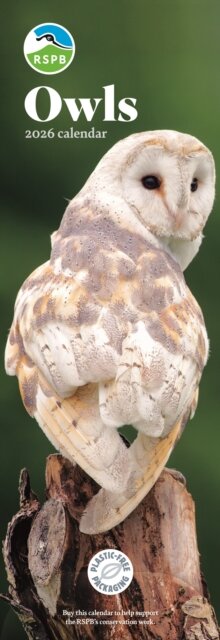 Rspb Owls Slim Calendar 2026