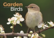Garden Birds A4 Calendar 2026