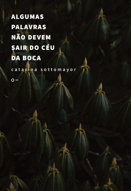 Algumas palavras não devem sair do céu da boca