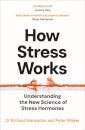 How Stress Works