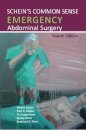 Schein's Common Sense Emergency Abdominal Surgery