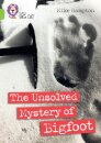 The Unsolved Mystery of Bigfoot