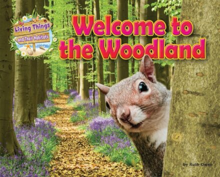 Welcome to the Woodland