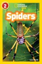 Spiders