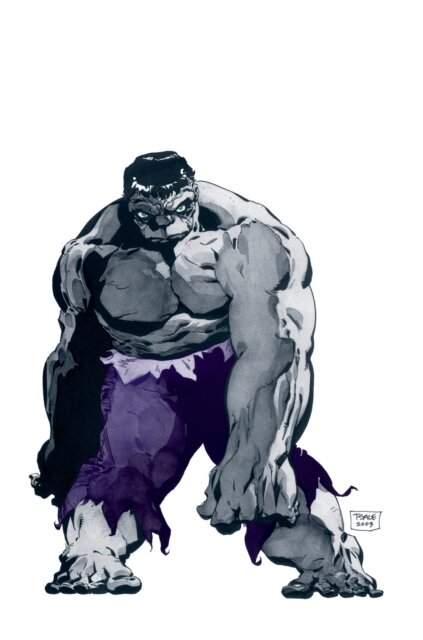 Hulk By Jeph Loeb & Tim Sale