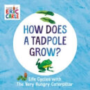 How Does A Tadpole Grow?