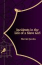 Incidents in the Life of a Slave Girl (Hero Classics)