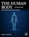 The Human Body