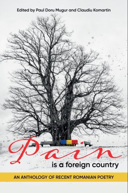 Pain Is a Foreign Country