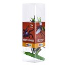 Insects and Spider set 6pcs 2-Asst