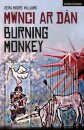 Burning Monkey