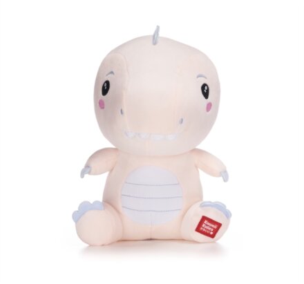 Kawaii Kuties 9.5" Gift Dino Soft Toy