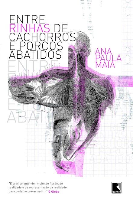 Entre Rinhas De Cachorros E Porcos Abatidos