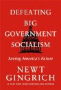 Defeating Big Government Socialism