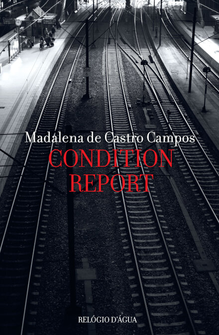 Condition Report