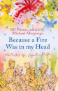 Because A Fire Was In My Head