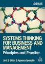 Systems Thinking for Business and Management