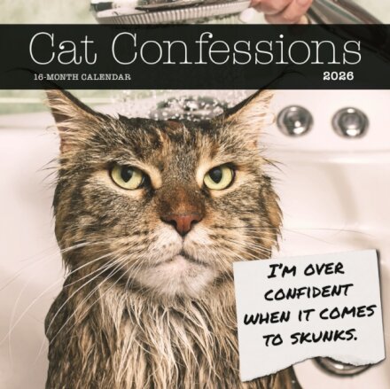 Cat Confessions Square Wall Sunday Start