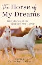The Horse of My Dreams