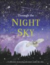 Through the Night Sky