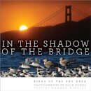 In the Shadow of the Bridge