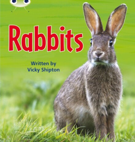 Bug Club Phonics - Phase 5 Unit 27: Rabbits