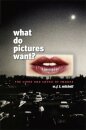 What Do Pictures Want?