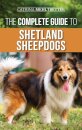 The Complete Guide to Shetland Sheepdogs