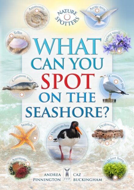 What Can You Spot on the Seashore?