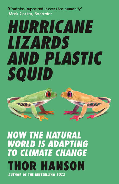 Hurricane Lizards And Plastic Squid