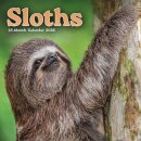 Sloths Square Mini Sunday Start Calendar