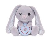 Love Hearts 7" Baby Boy Bunny Plush Gift