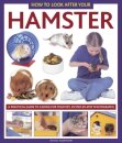 How to Look After Your Hamster