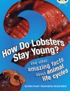 Bug Club Independent Non Fiction Year 3 Brown A How Do Lobsters Stay Young?