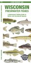 Wisconsin Freshwater Fishes