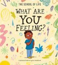 What Are You Feeling? : A picture book of your emotions
