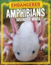 Endangered Amphibians Around the World