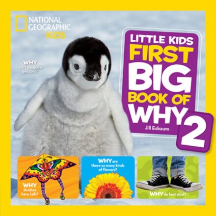Ng Little Kids First Big Book Of Why 2