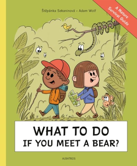 What To Do If You Meet a Bear?