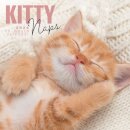Kitty Naps Square Wall Sunday Start Cale