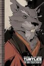 Teenage Mutant Ninja Turtles Vol 2
