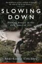 Slowing Down