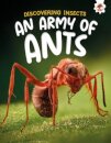 Discovering Insects: An Army of Ants