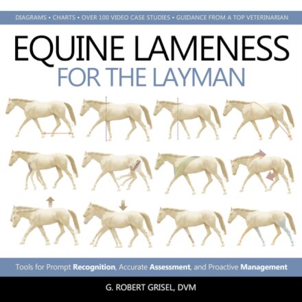 Equine Lameness for the Layman