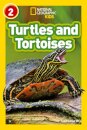 Turtles and Tortoises