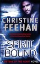 Spirit Bound
