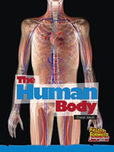 The Human Body