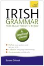 Irish Grammar You Really Need to Know: Teach Yourself